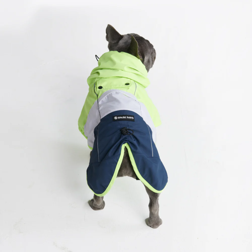 Image du produit 19