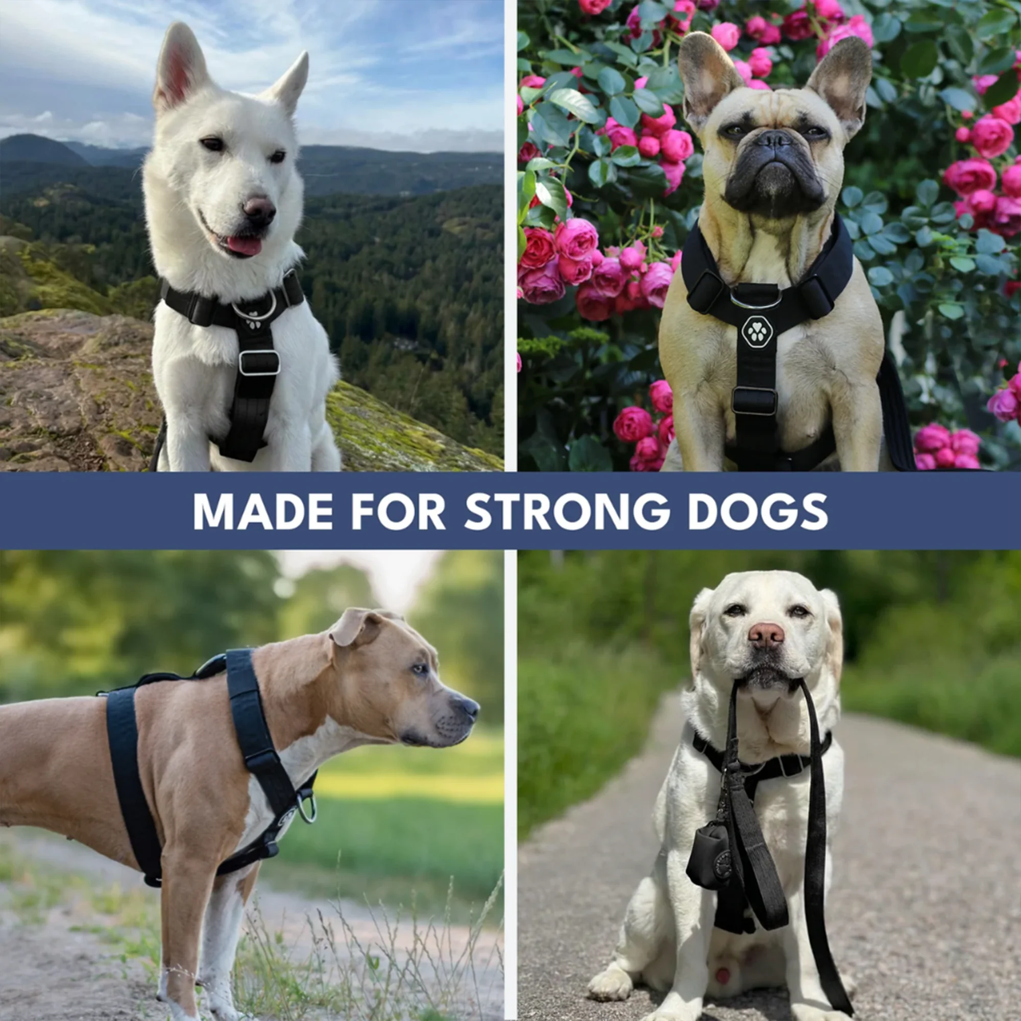 Image du produit 30