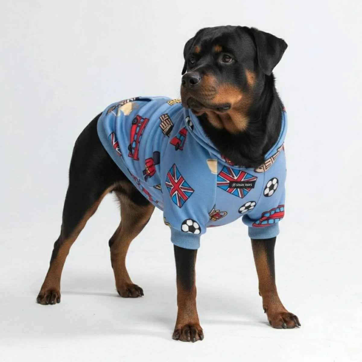 Image du produit 32