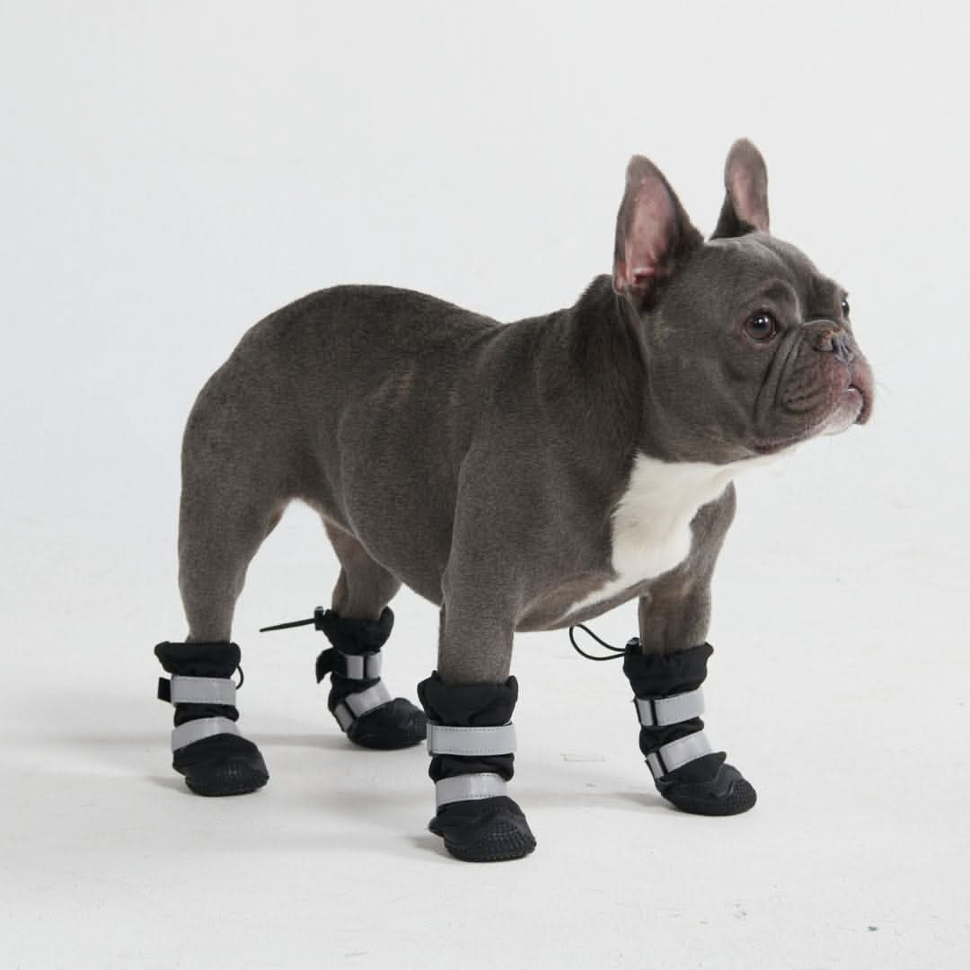 Miniature 2