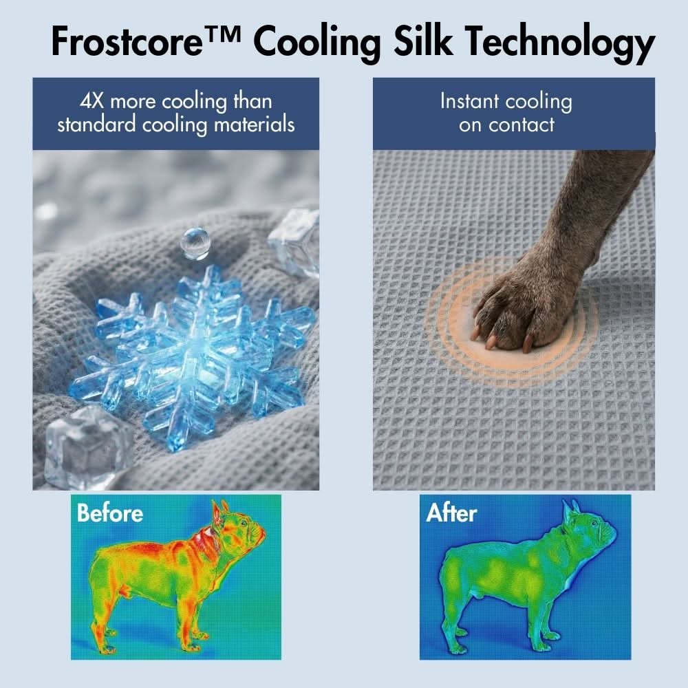 Image du produit 51