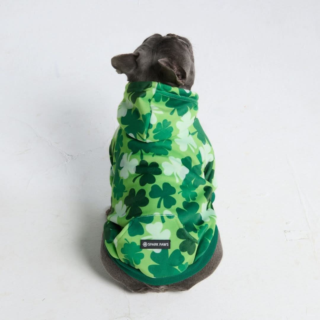 Image du produit 19
