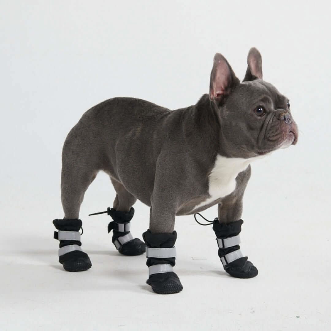Miniature 2