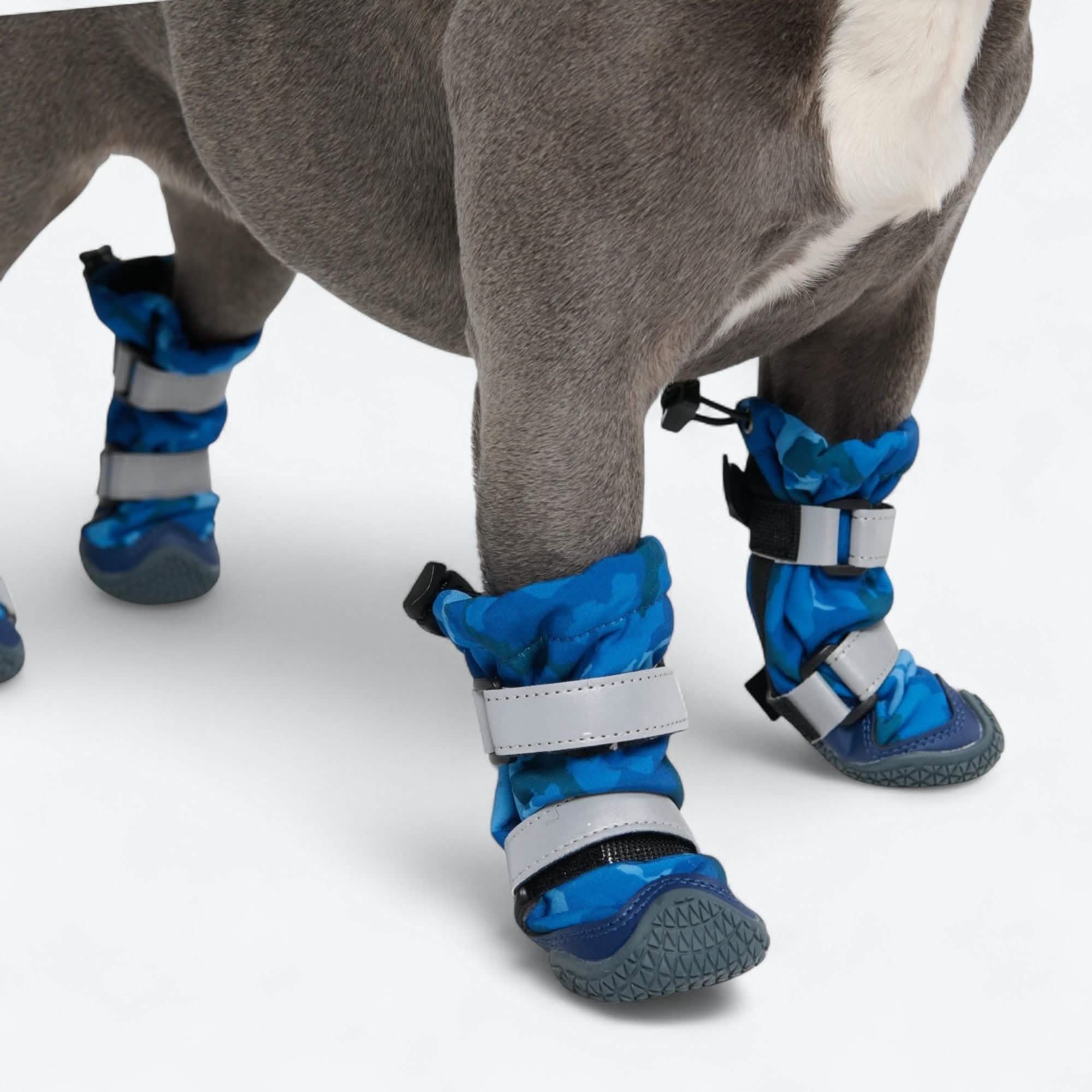 Image du produit 50