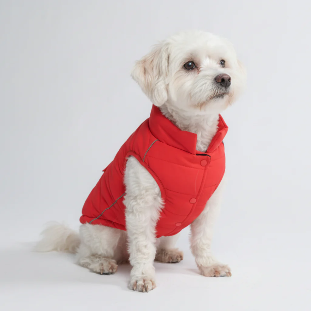 Image du produit 77